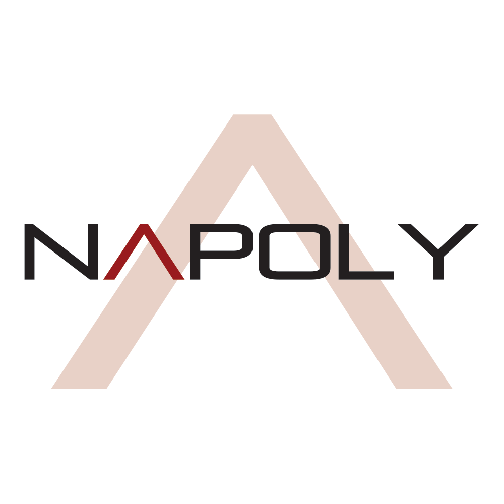 Napoly Logo